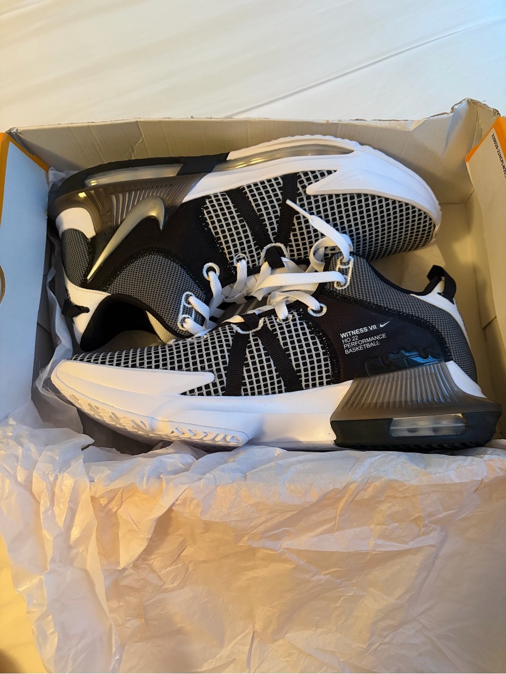 LeBron witness VII